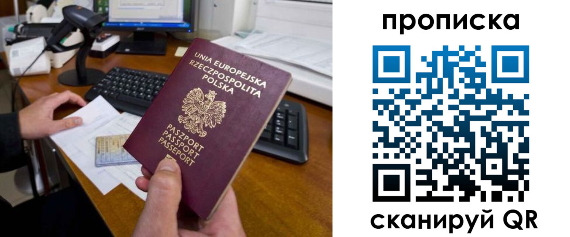 прописка для школы в Тогучине